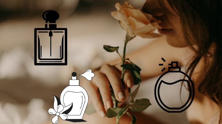 ¿Qué son los perfumes EDP, EDT y EDC y cuáles son sus características?