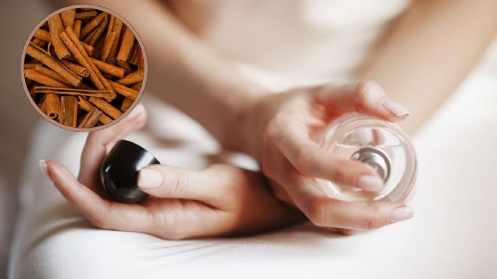 ¿Buscas perfumes cálidos y elegantes? Prueba 5 fragancias con sándalo para este Otoño