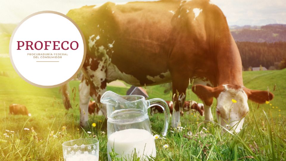 La leche es uno de los productos más consumidos en el día a día