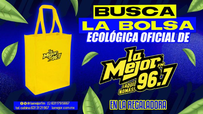 LA BOLSA ECOLOGICA
