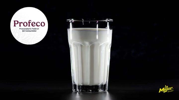 Profeco: Estas son las mejores marcas de leche, según el último estudio de calidad