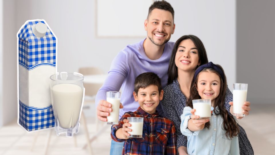 Estas son las mejores marcas de leche, recomendadas por la Inteligencia Artificial