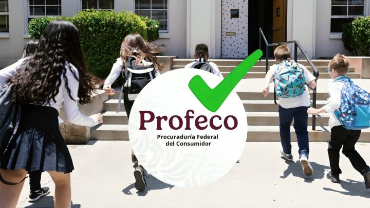 Regreso a clases 2025: Estas son las mochilas más resistentes y de buena calidad, según Profeco