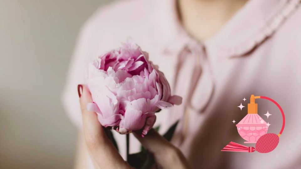 La popularidad de la peonía no solo responde a su aroma, sino también a su conexión con las tendencias de belleza actuales