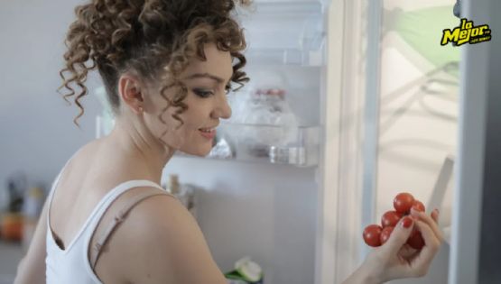 3 consejos de expertos para elegir un refri ideal para no gastar dinero de más en el verano