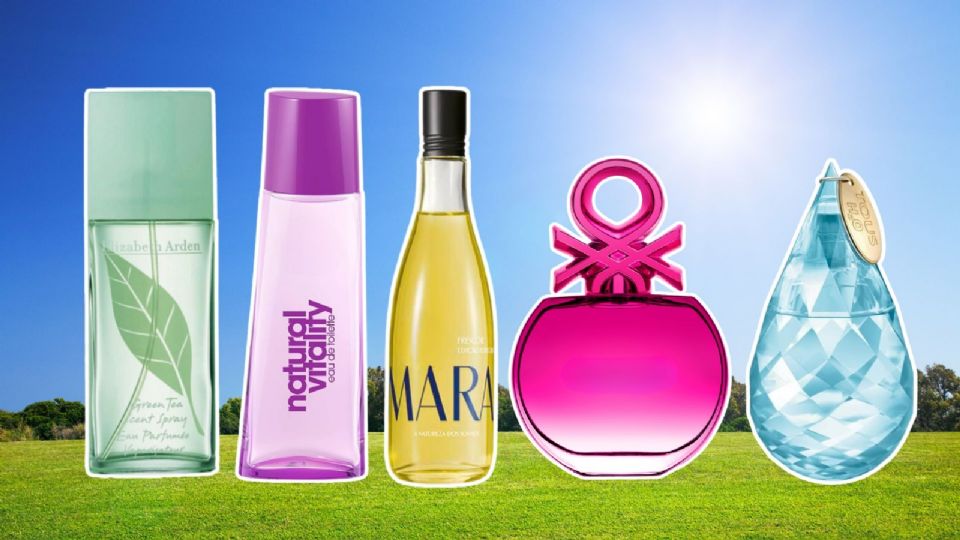 Descubre los 5 perfumes económicos, ligeros y frescos que arrasan este verano.