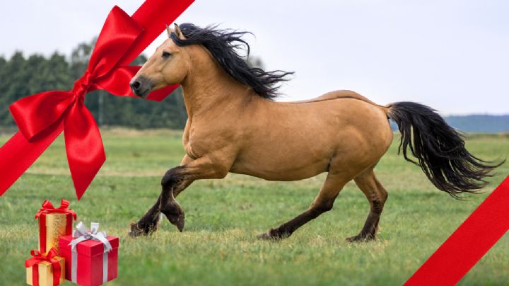 Christian Nodal: ¿Cuánto vale el caballo que Ángela Aguilar le regaló en su cumpleaños 27?