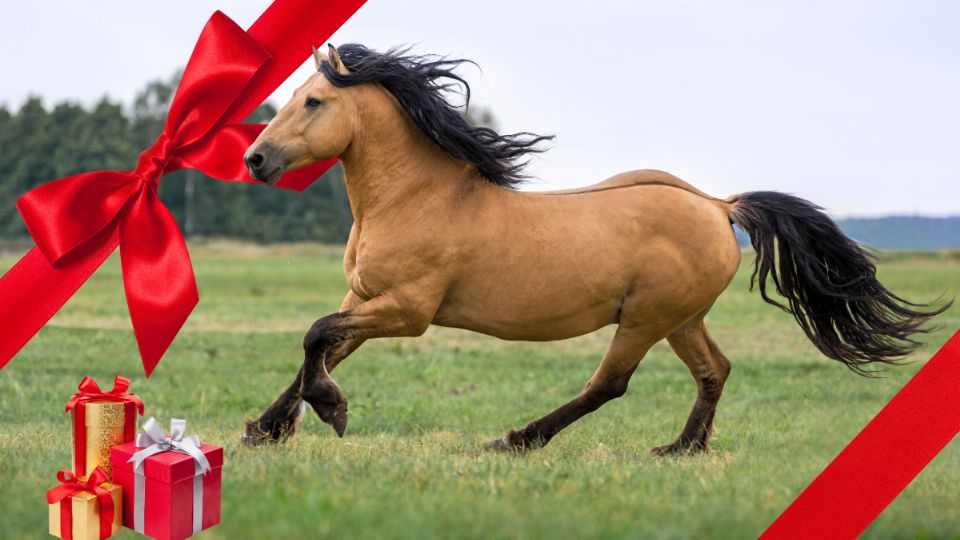 Christian Nodal: ¿Cuánto vale el caballo que Ángela Aguilar le regaló en su cumpleaños 27?