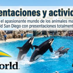 ¡Nuevas actividades en SeaWorld San Diego!