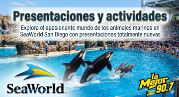 ¡Nuevas actividades en SeaWorld San Diego!